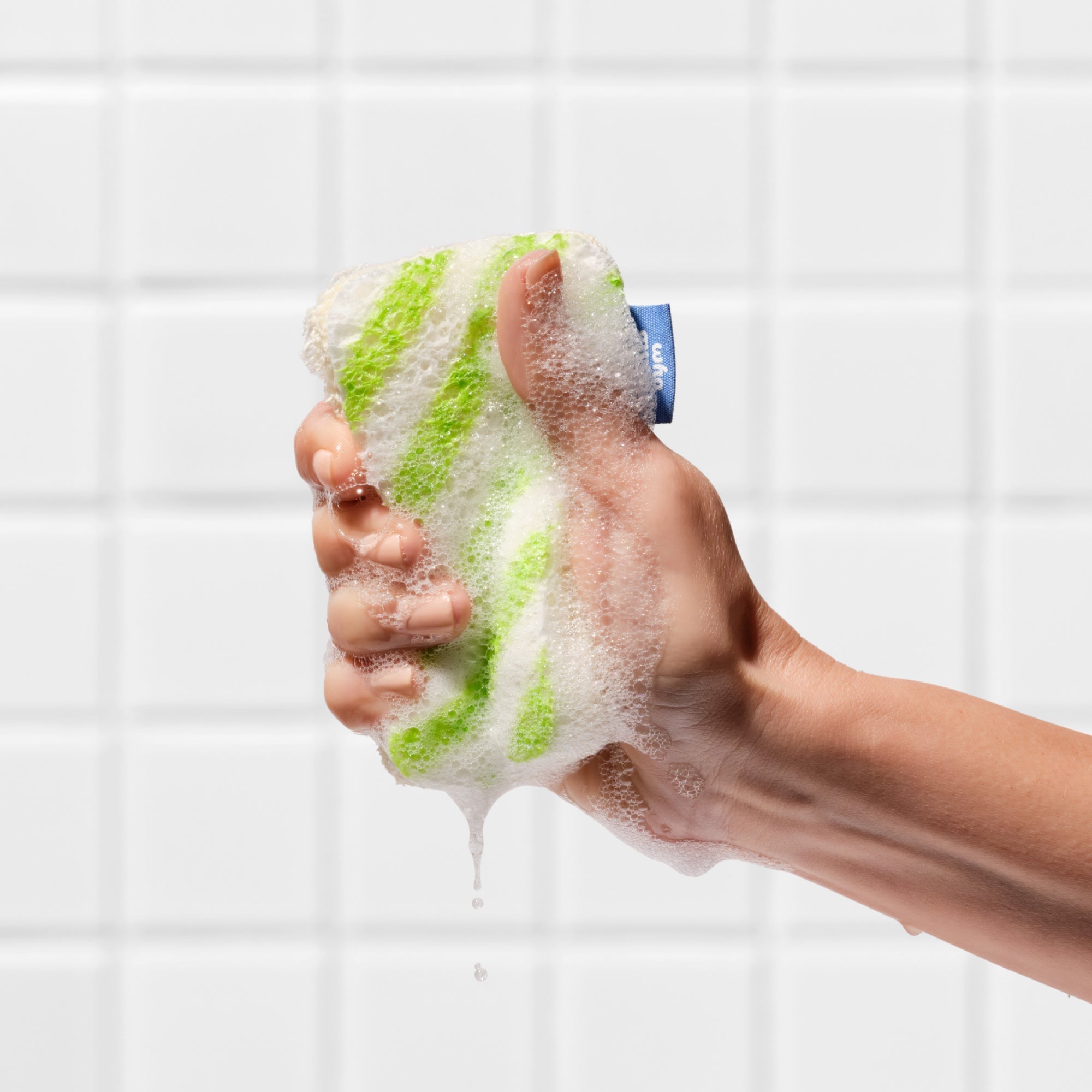 Scrub Sponges